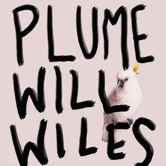 Plume Wiles Will