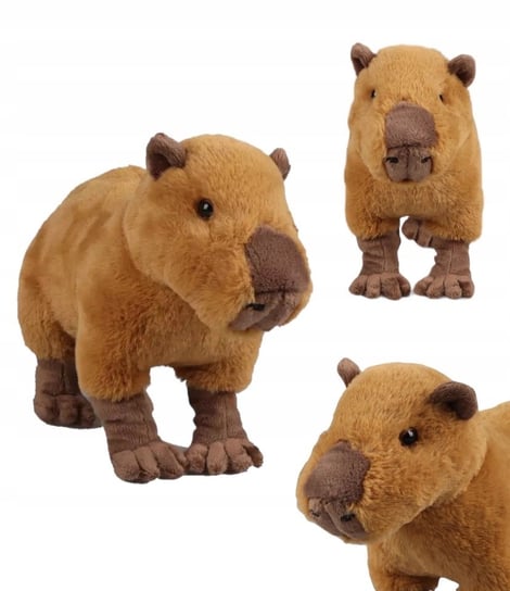 Pluszak Kapibara Capybara Maskotka Dla Dzieci 30Cm Inne
