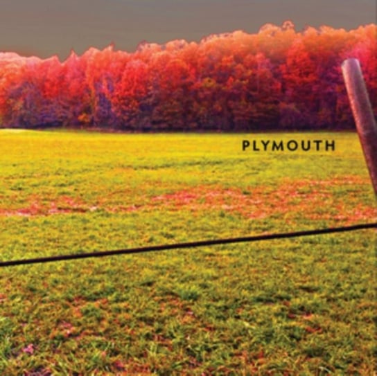 Plymouth, płyta winylowa Plymouth