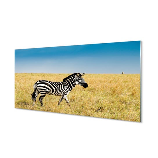 Płyta szklana do kuchni + klej Zebra pole 120x60 Tulup