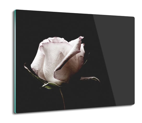 płyty ochronne na indukcję Biała róża kwiat 60x52, ArtprintCave ArtPrintCave