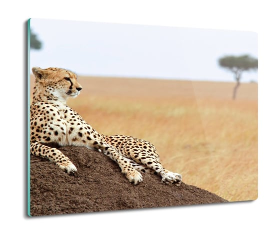 płyty ochronne na indukcję Gepard sawanna 60x52, ArtprintCave ArtPrintCave