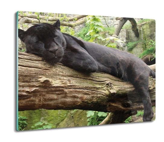 płyty ochronne na indukcję Jaguar na drzewie 60x52, ArtprintCave ArtPrintCave