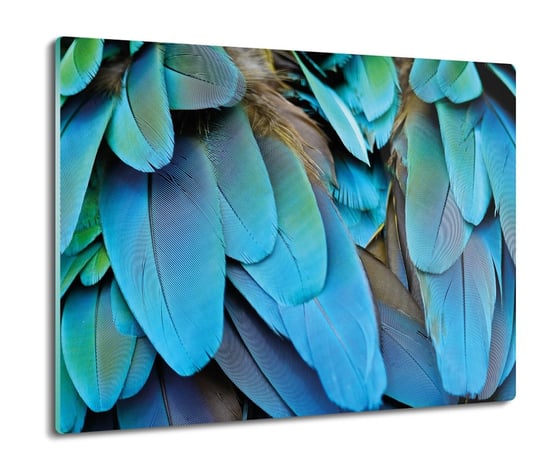 płyty ochronne na indukcję Ptak pióra papuga 60x52, ArtprintCave ArtPrintCave