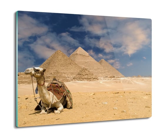 płyty ochronne na indukcję Wielbłąd piramida 60x52, ArtprintCave ArtPrintCave