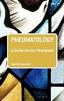 Pneumatology: A Guide for the Perplexed Castelo Daniel