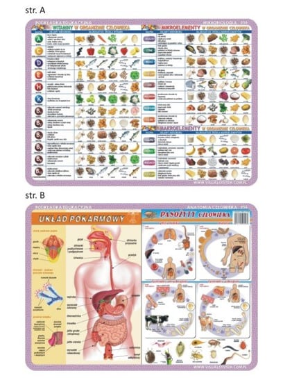 Podkładka edukacyjna - anatomia człowieka i mikrobiologia 056 VISUAL System