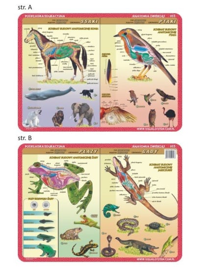 Podkładka edukacyjna - anatomia zwierząt 053 VISUAL System