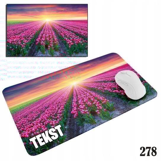PODKŁADKA POD MYSZKĘ MYSZ WZORY DO WYBORU - MOTYLKI KWIATY 20x24cm WORLD CASE