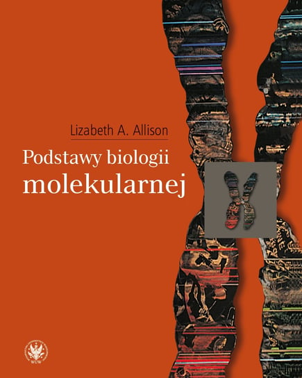 Podstawy biologii molekularnej Jarmołowski Artur, Szweykowska-Kulińska Zofia, Allison Lizabeth A.