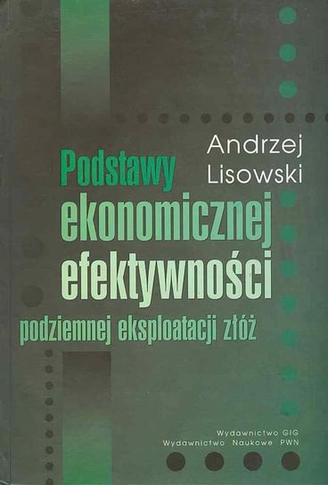 Podstawy ekonomicznej efektywności podziemnej eksploatacji złóż Lisowski Andrzej