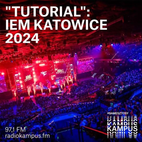 Podsumowanie IEM Katowice 2024 - Kamil Górecki - Tutorial - podcast Michałowski Kamil, Radio Kampus
