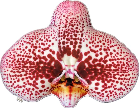 Poduszka duży Storczyk Orchidea Phalaenopsis Poduszkownia