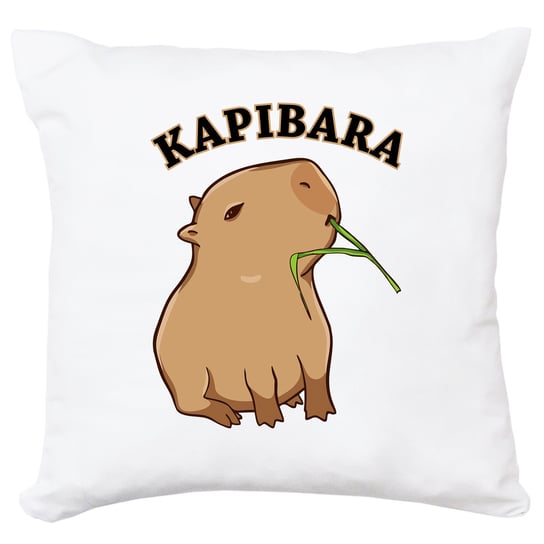 Poduszka Kapibara Capybara Zwierzę Na Prezent Wondergift