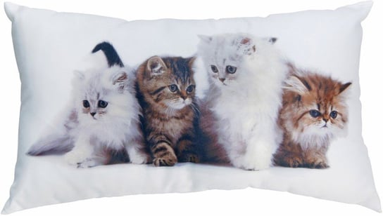 Poduszka, koty, biała, 49x29 cm 