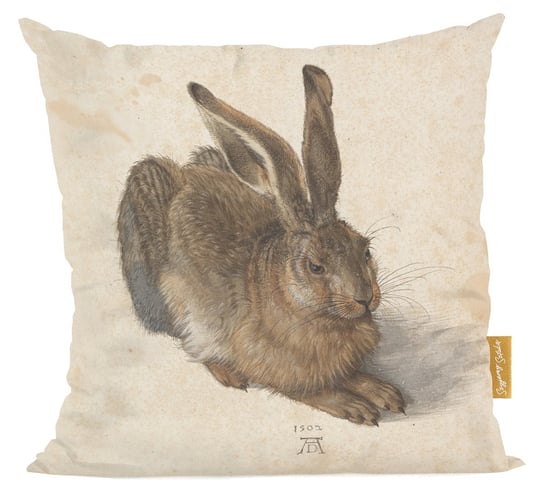 Poduszka Młody zając Albrecht Dürer Szyjemy Sztukę