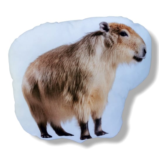 Poduszka z kapibarą maskotka kapibara przytulanka kapibara Uszyciuch