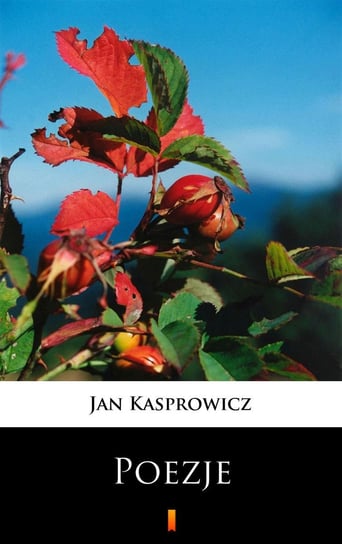Poezje Kasprowicz Jan