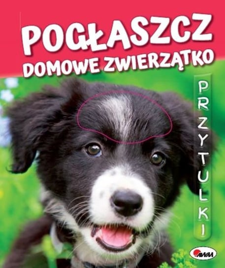 Pogłaszcz domowe zwierzątko Kawałko-Dzikowska Natalia