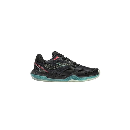 Point Joma
