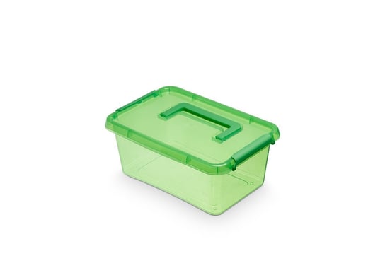 Pojemnik ORPLAST SimpleStore ColorBox, 4,5 l, zielony z rączką. Orplast