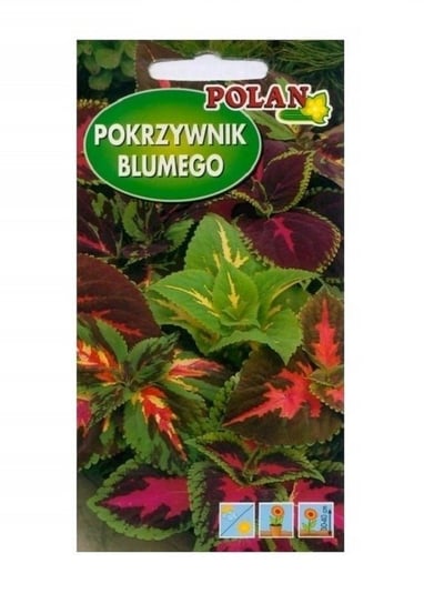 Pokrzywnik Koleus Blumego Mieszany 0,1 g POLAN PlantiCo