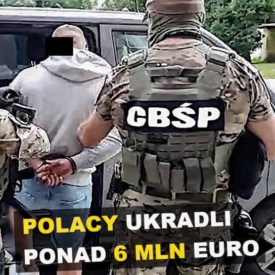 Polacy ukradli ponad 6 milionów euro | Kibole z Poznania oskarżeni | (Nie)winny - Kroniki kryminalne - Kryminalne opowieści - podcast Szulc Patryk