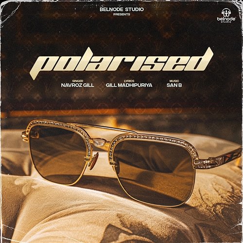 Polarised Navroz Gill