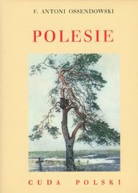 Polesie. Cuda Polski Ossendowski Antoni Ferdynand