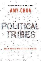 Political Tribes Chua Amy