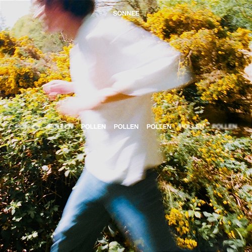 Pollen Sonnee