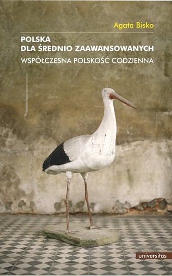 Polska dla średnio zaawansowanych. Współczesna polskość codzienna - ebook PDF Bisko Agata