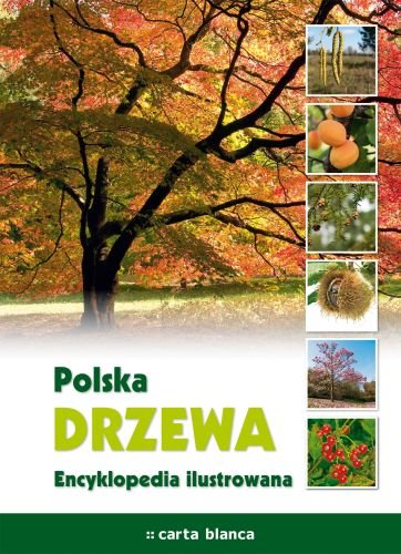 Polska drzewa. Encyklopedia ilustrowana Opracowanie zbiorowe