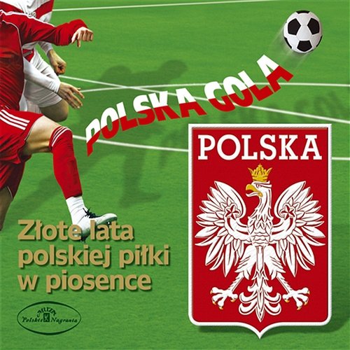 Polska gola Various Artists