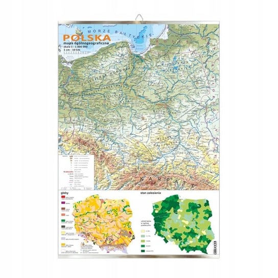 Polska mapa V ogólnogeograficzna gleb i zalesienia VISUAL System
