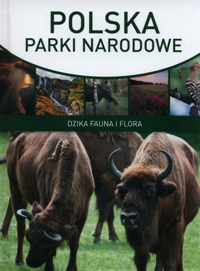 Polska. Parki narodowe Panek Paweł Marcin