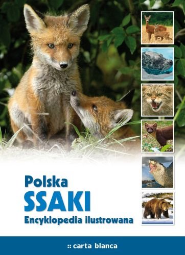 Polska. Ssaki. Encyklopedia ilustrowana Moszczyńska Mariola