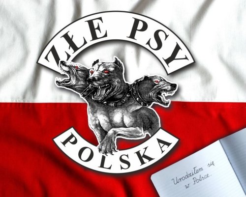 Polska: Urodziłem się w Polsce Złe Psy