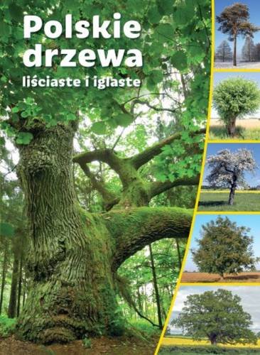 Polskie drzewa liściaste i iglaste Opracowanie zbiorowe