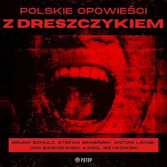 Polskie opowieści z dreszczykiem Lange Antoni, Schulz Bruno, Barczewski Jan, Irzykowski Karol, Grabiński Stefan