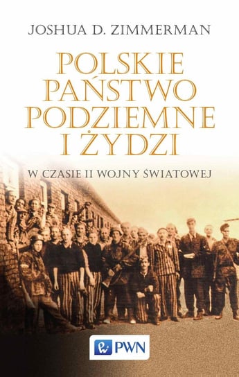 Polskie Państwo Podziemne i Żydzi w czasie II wojny światowej Zimmerman Joshua D.
