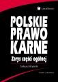 Polskie prawo karne. Zarys części ogólnej Bojarski Tadeusz