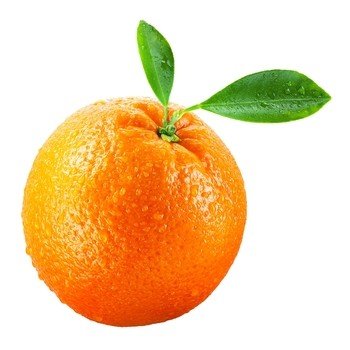 Pomarańcze Valencia Klasa I Egipt 1Kg Inny producent