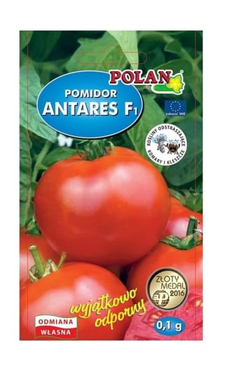 Pomidor Antares F1 0,1 g POLAN Inna marka