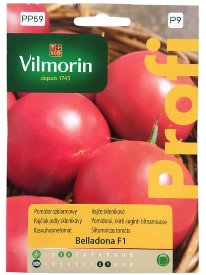 Pomidor Belladona F1 8 Nasion Vilmorin Profi Vilmorin
