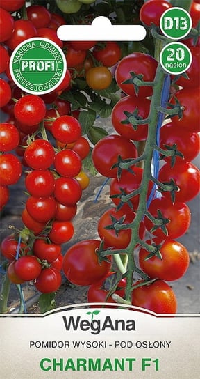 Pomidor Charmant F1 20 nasion nasiona - WegAna WegAna