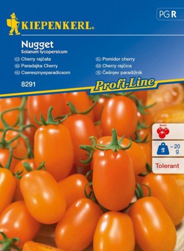 Pomidor cherry Nugget F1 Solanum lycopersicum KIEPENKERL