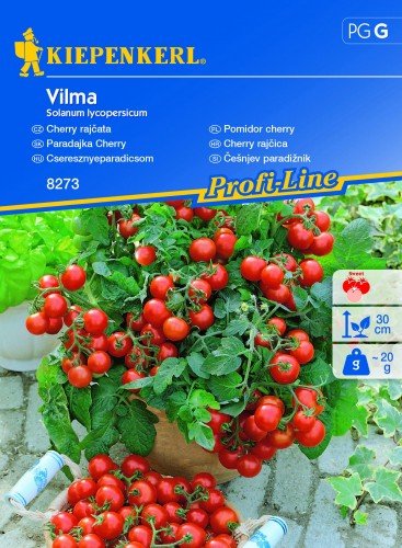 Pomidor Cherry Vilma – Kiepenkerl KIEPENKERL
