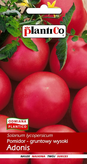 Pomidor Gruntowy Adonis 0,5g PlantiCo PlantiCo