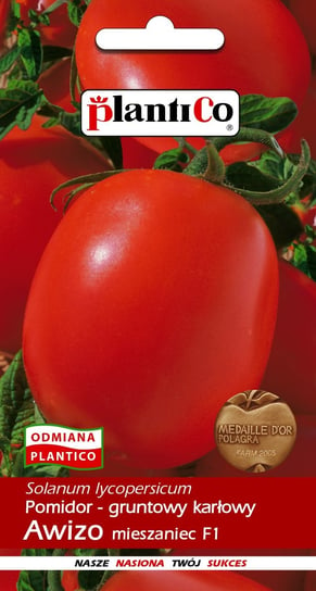 Pomidor Gruntowy Awizo 0,5g PlantiCo PlantiCo